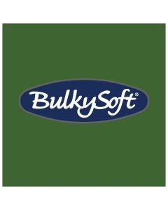 Serwetki BulkySoft 24x24, 2 warstwy 100 sztuk zielony