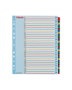 Przekładki kartonowe MYLAR A4 MAXI 1-31 ESSELTE 100210